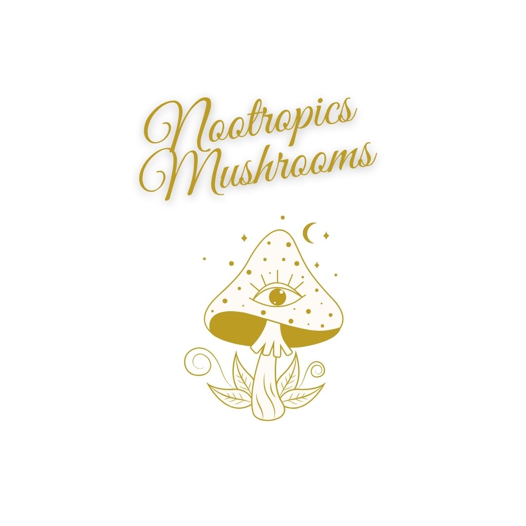 Nootropic Mushrooms