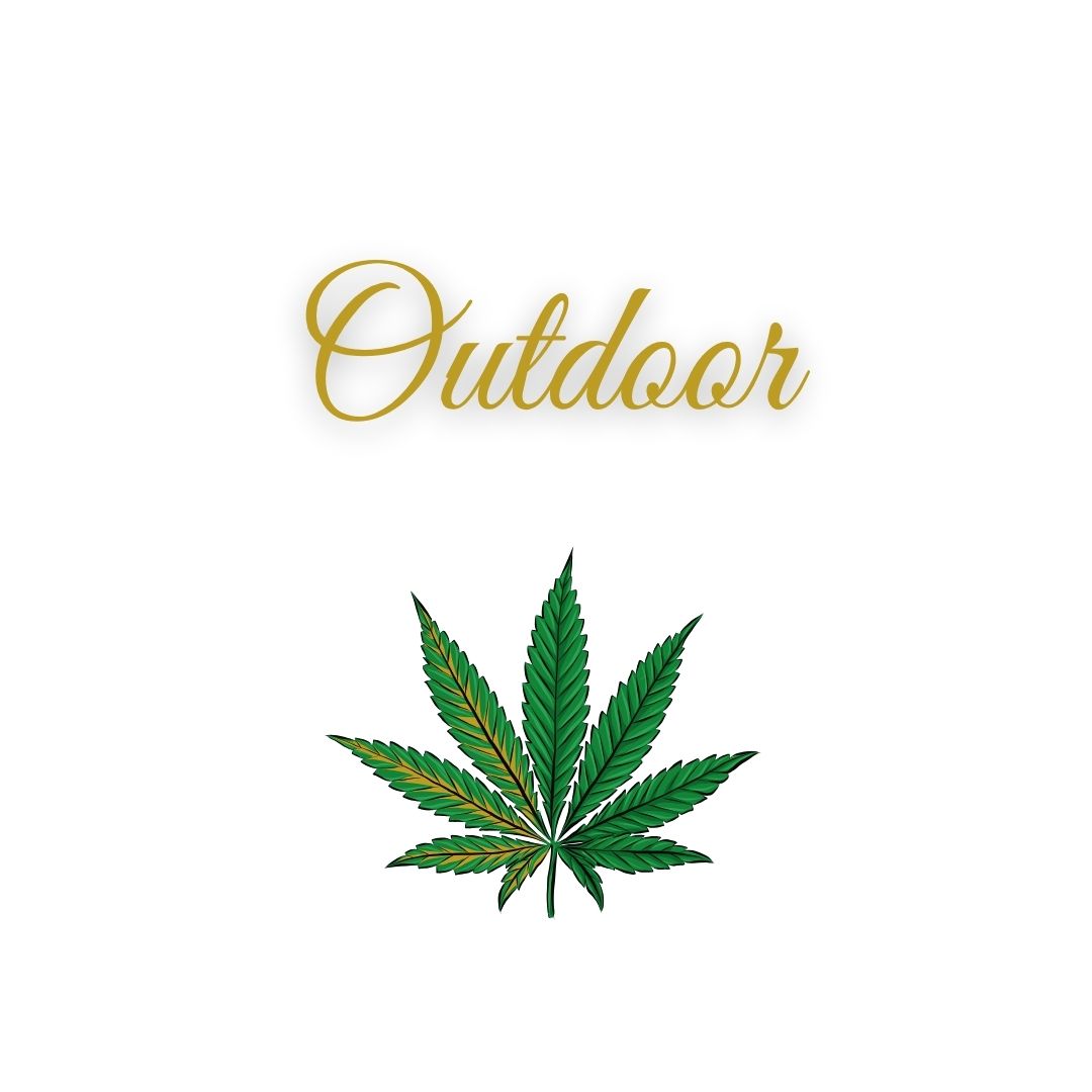 Outdoor