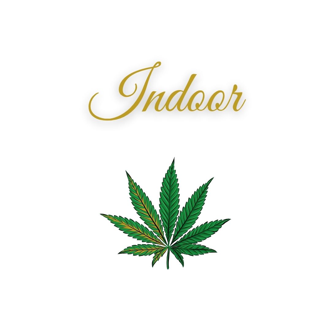 Indoor